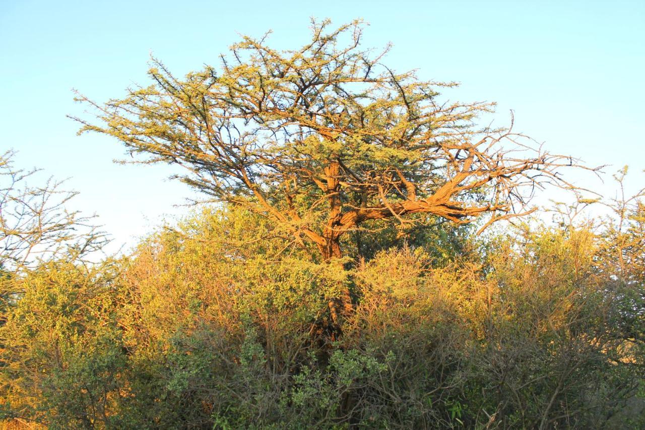 Ndlovu Tiny Dinokeng