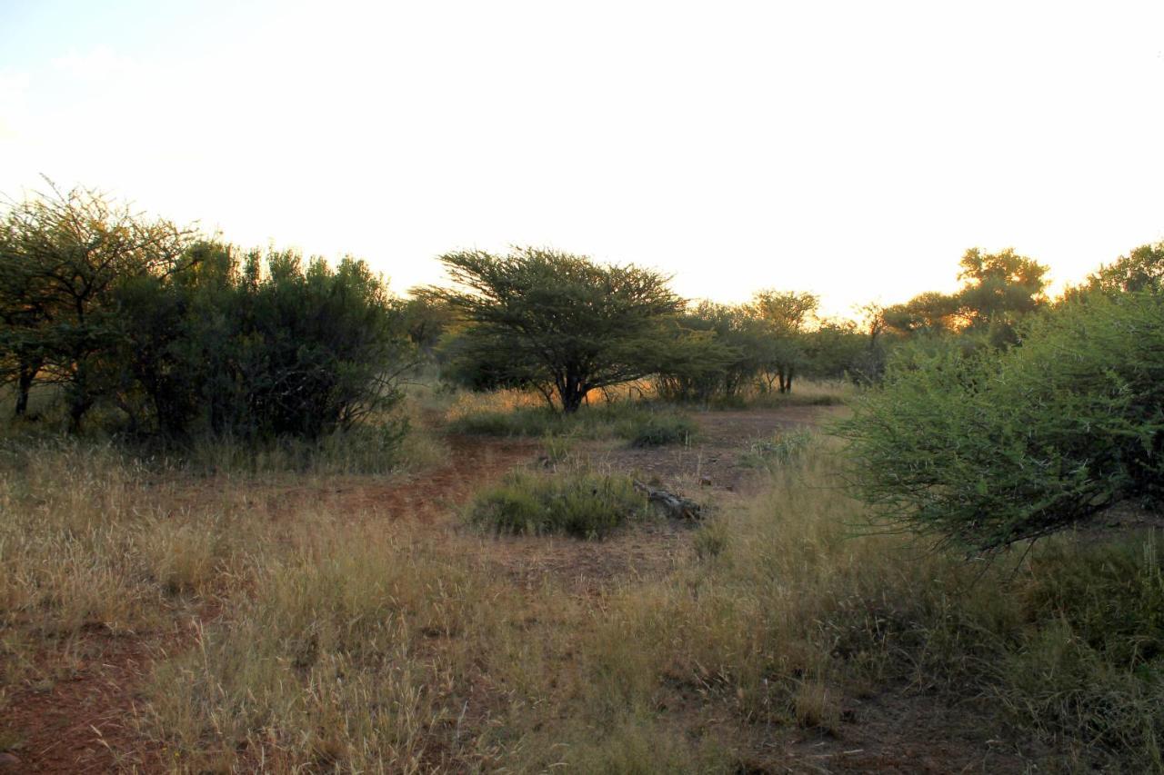 Ndlovu Tiny Dinokeng * Klipdrift